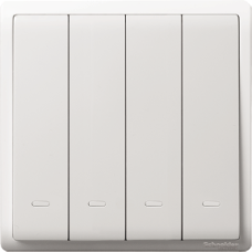 10AX 250V 4G 2W SW W FLUO LOC, WE